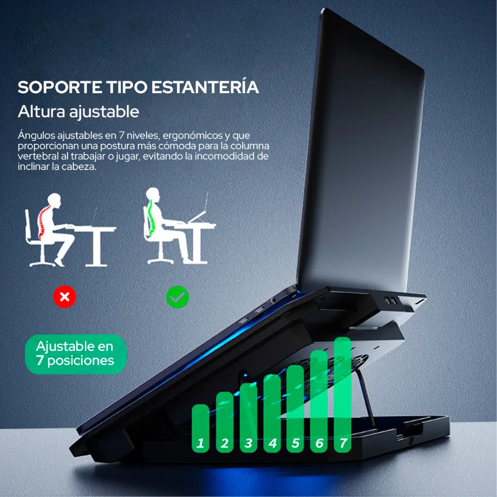 N22_3.webp